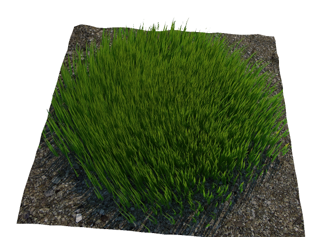 3d модель - Трава