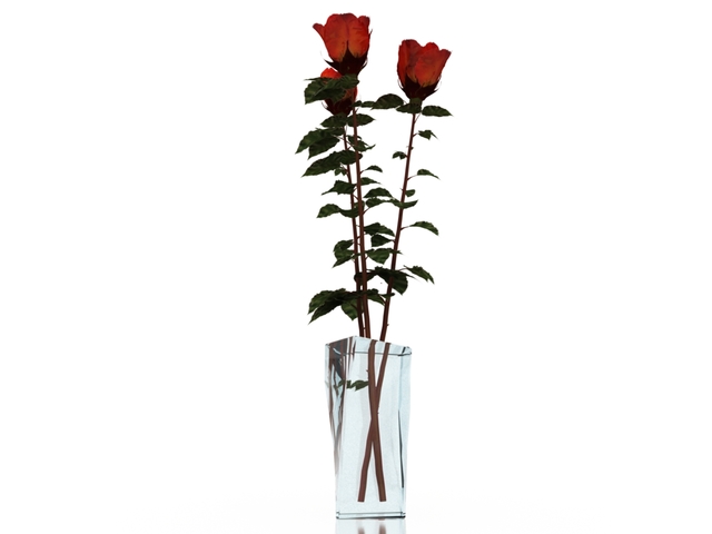 3d модель - Розы