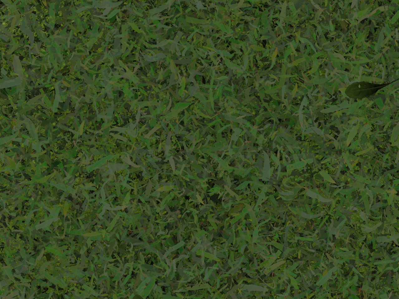 Текстура травы для 3d max