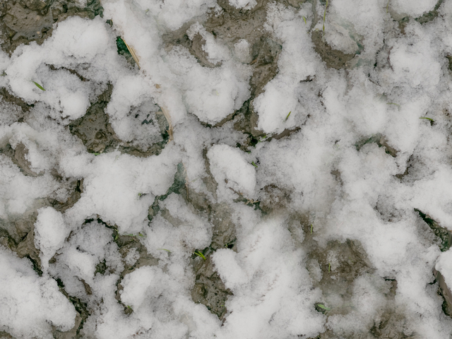текстура - Снег на земле