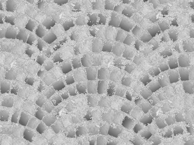 3d модель - Брусчатка высококачественная