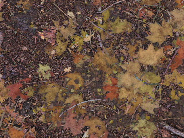 текстура - Листья на земле