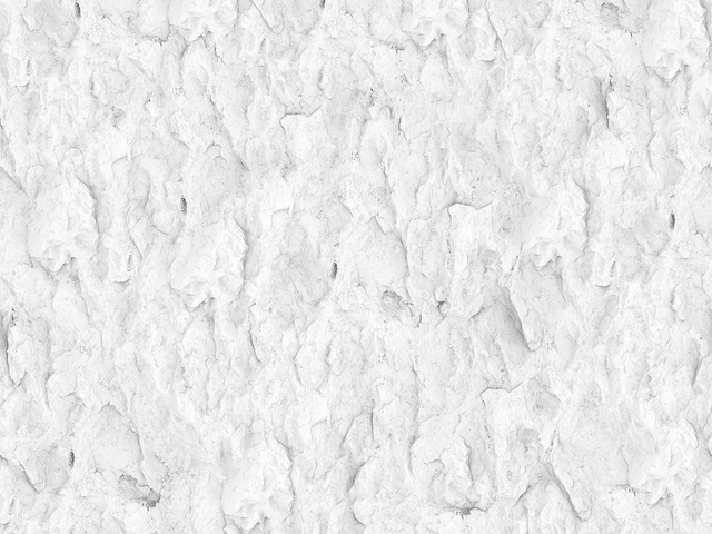 3d модель - Дикий камень at 3d models