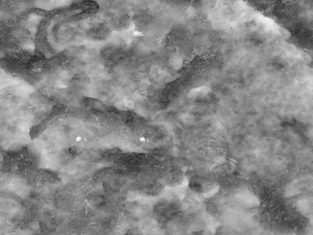 текстура - Почва с камнями